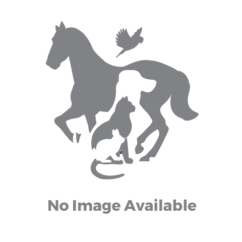 No Image Available