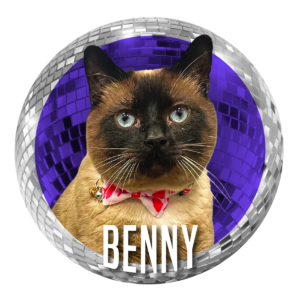 Benny the Cat