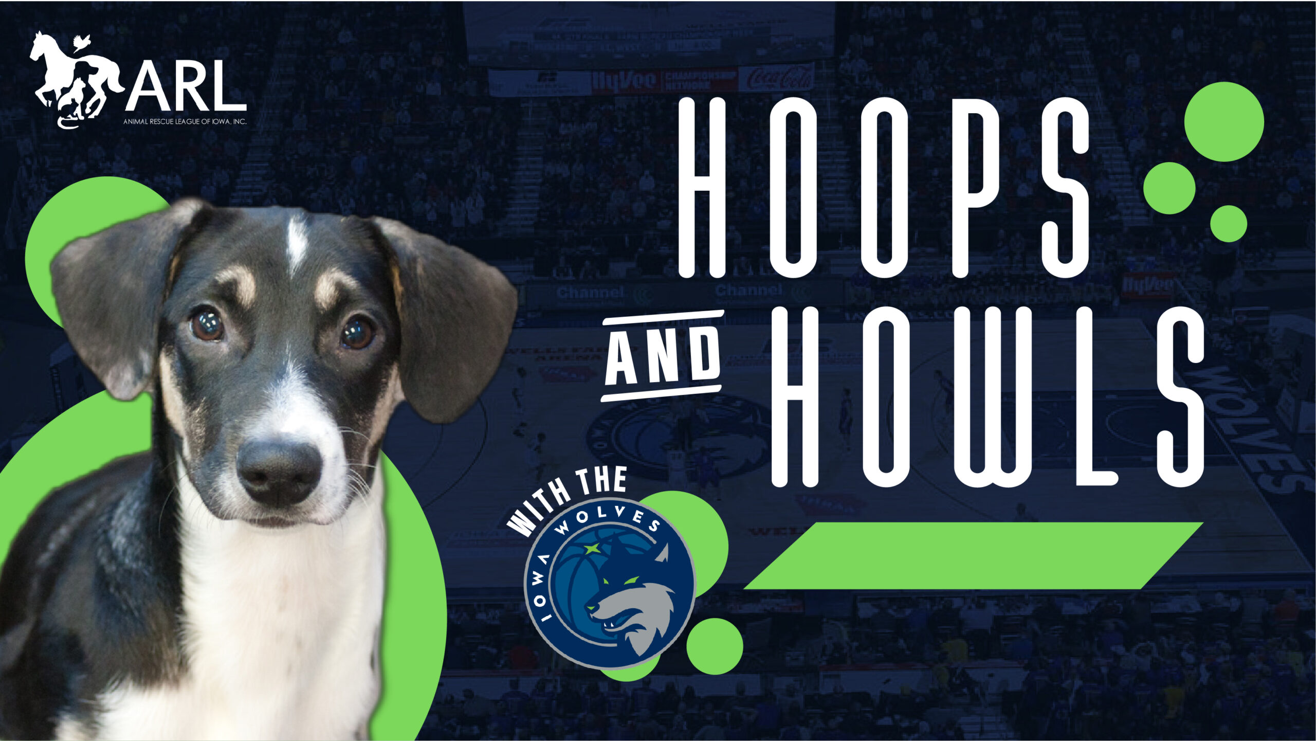Hoops and Howls
