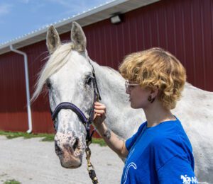 Caballo blanco del Año del Caballo 2026