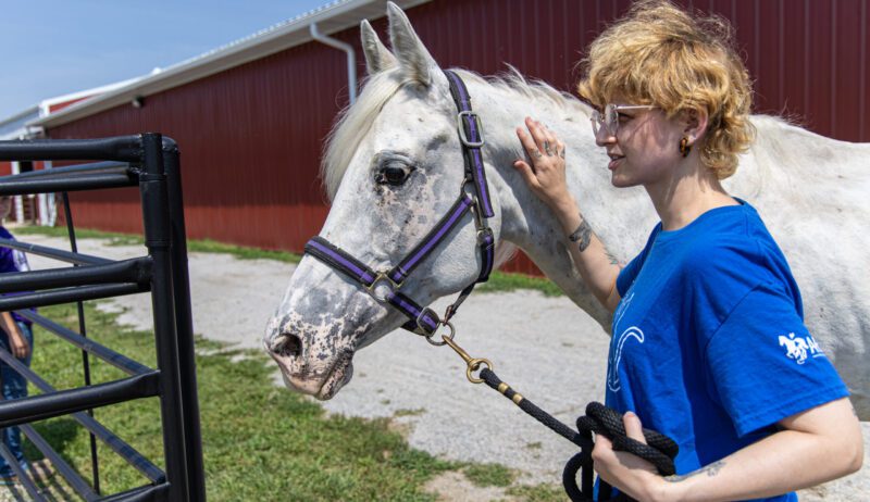 Haz voluntariado con Daisy (1 de 6)